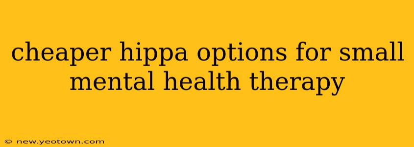 cheaper hippa options for small mental health therapy