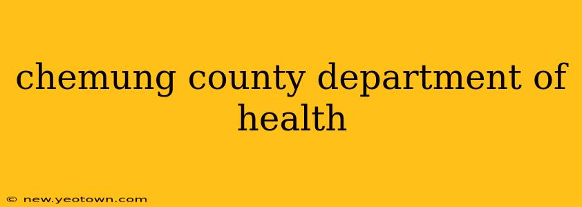 chemung county department of health