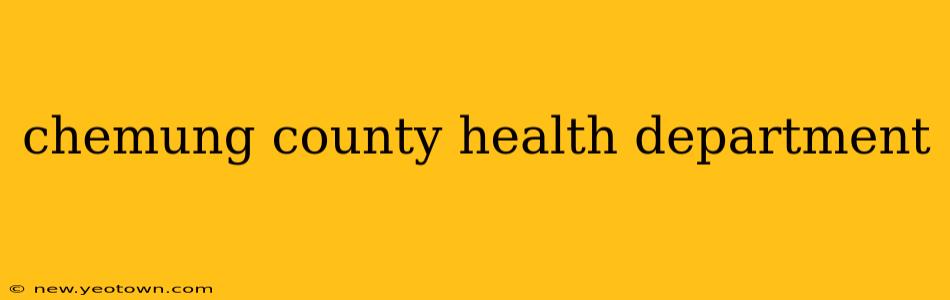 chemung county health department