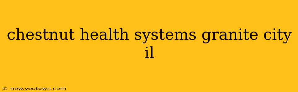 chestnut health systems granite city il