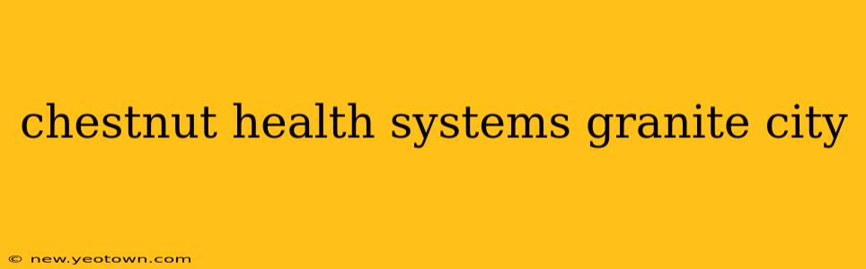 chestnut health systems granite city