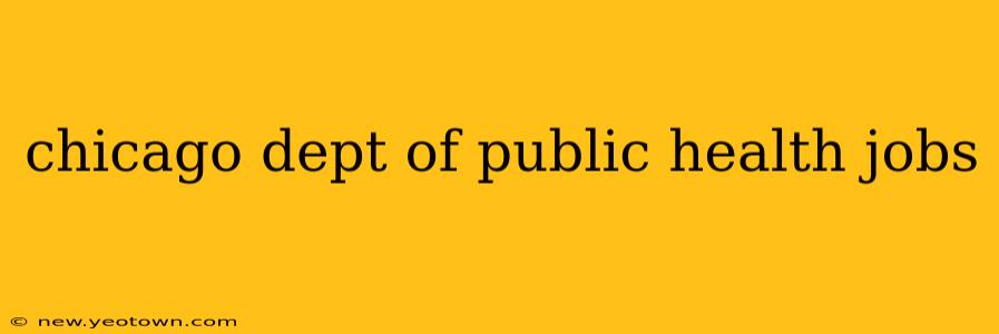 chicago dept of public health jobs