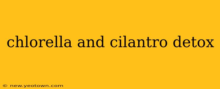 chlorella and cilantro detox