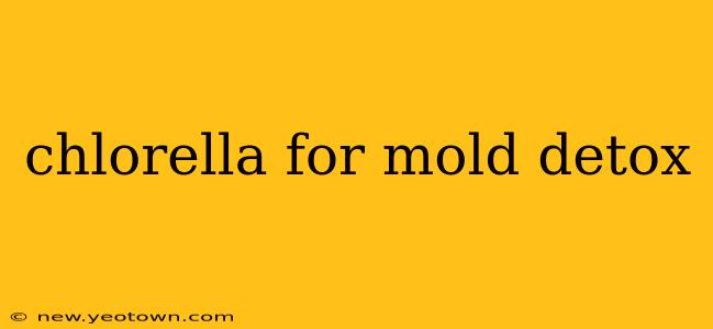 chlorella for mold detox