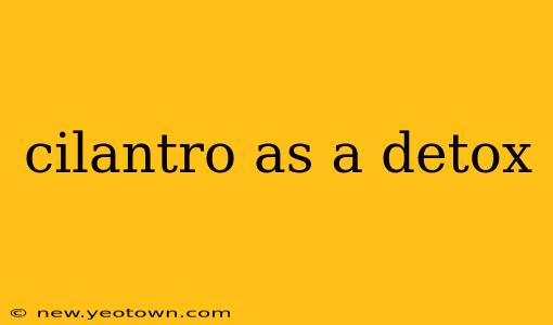 cilantro as a detox