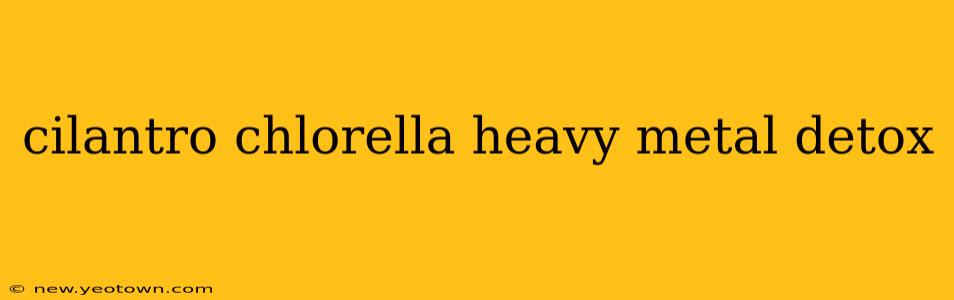 cilantro chlorella heavy metal detox