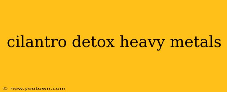 cilantro detox heavy metals