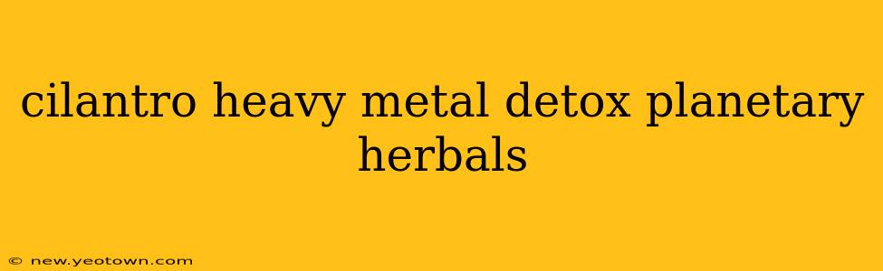 cilantro heavy metal detox planetary herbals