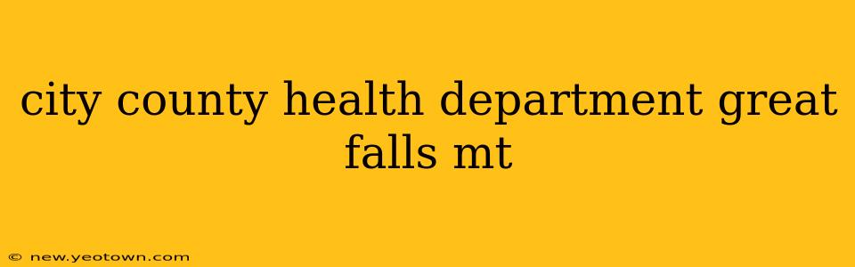 city county health department great falls mt