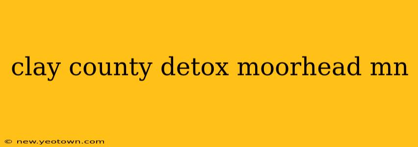 clay county detox moorhead mn
