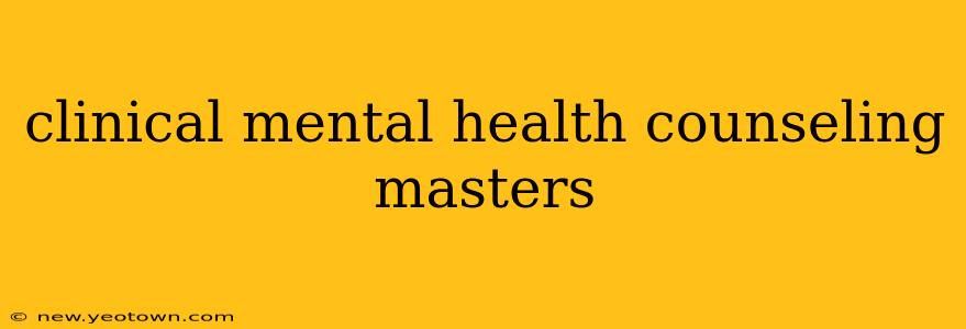 clinical mental health counseling masters