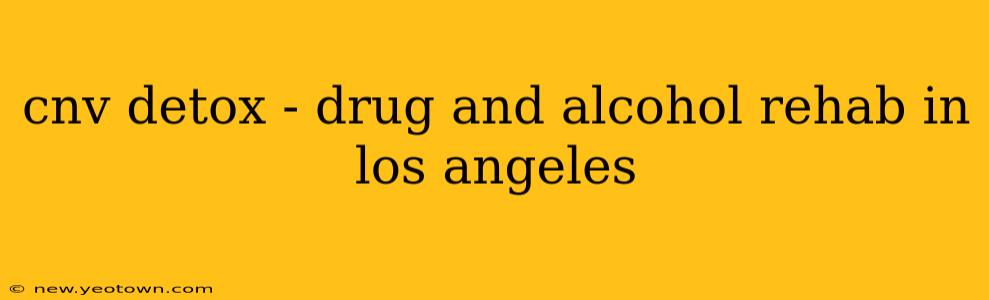 cnv detox - drug and alcohol rehab in los angeles