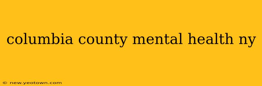 columbia county mental health ny