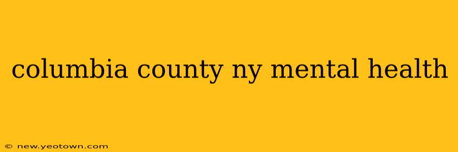 columbia county ny mental health
