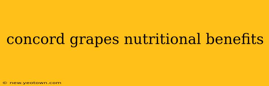 concord grapes nutritional benefits
