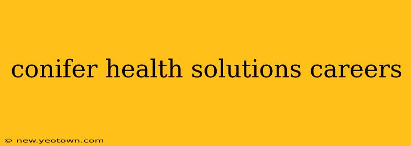 conifer health solutions careers