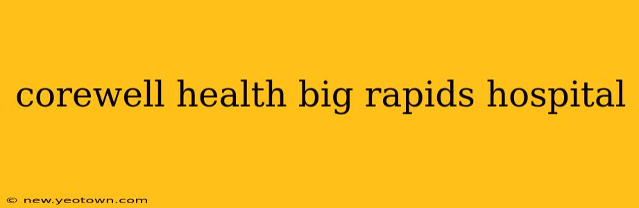 corewell health big rapids hospital