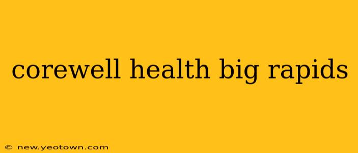 corewell health big rapids
