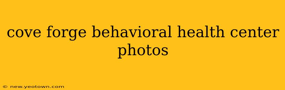 cove forge behavioral health center photos
