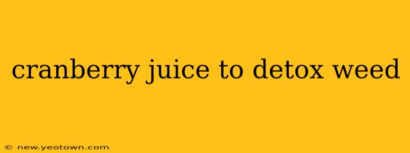 cranberry juice to detox weed