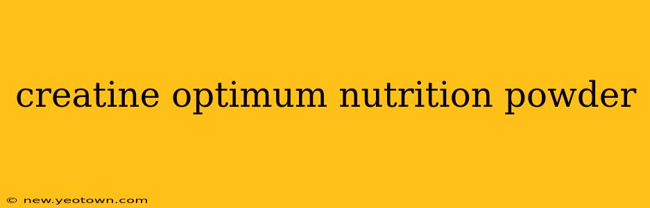 creatine optimum nutrition powder