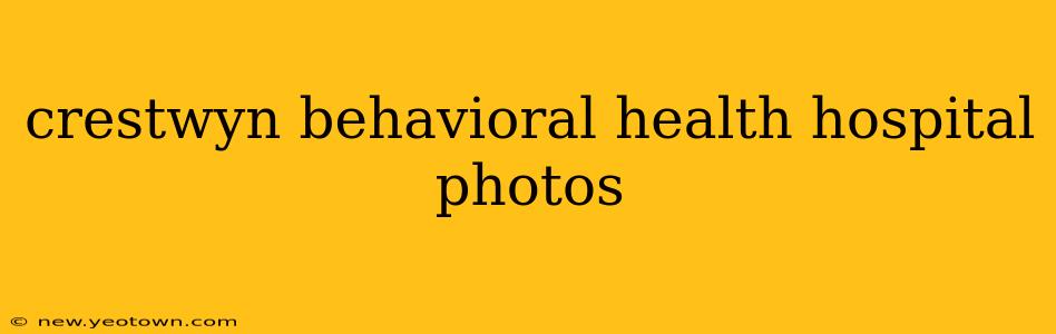 crestwyn behavioral health hospital photos