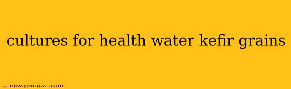 cultures for health water kefir grains