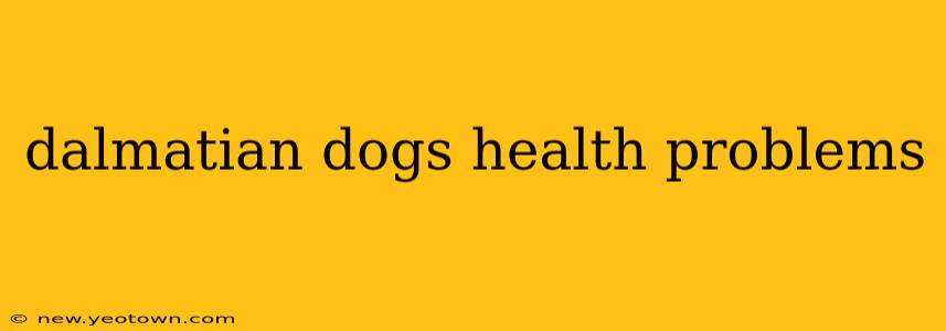 dalmatian dogs health problems