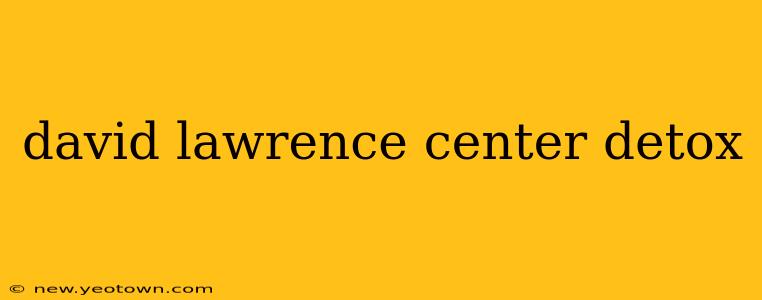 david lawrence center detox