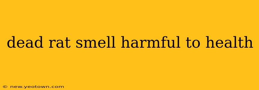 dead rat smell harmful to health