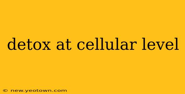 detox at cellular level