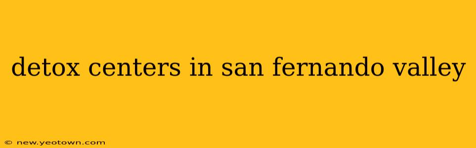 detox centers in san fernando valley