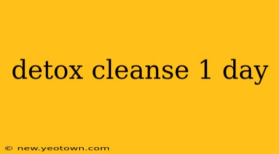 detox cleanse 1 day