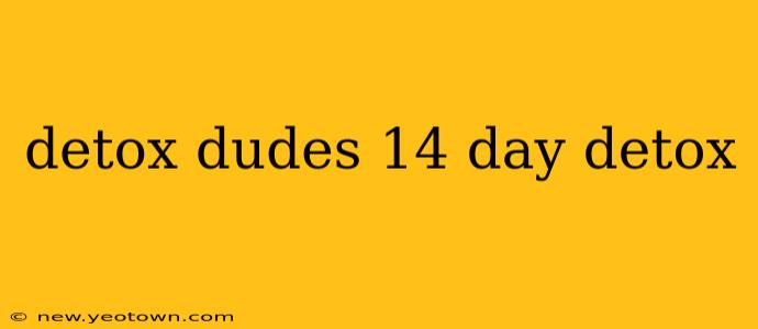 detox dudes 14 day detox