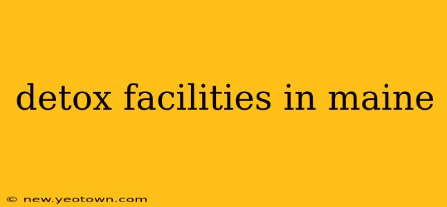 detox facilities in maine