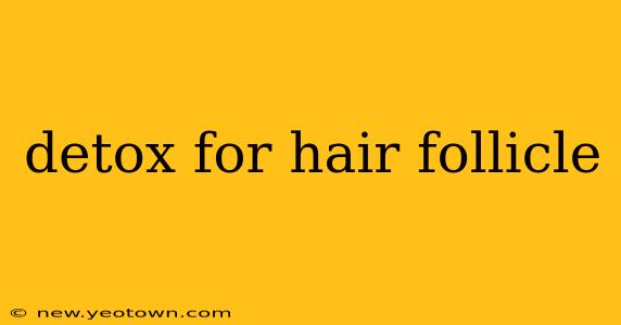 detox for hair follicle