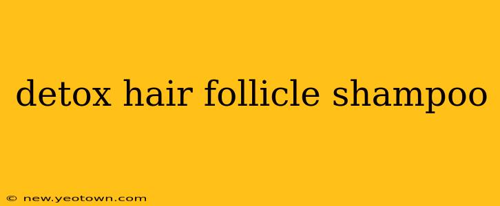 detox hair follicle shampoo
