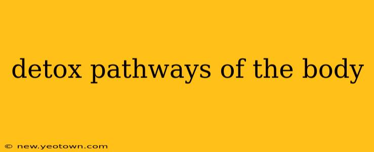 detox pathways of the body