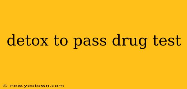 detox to pass drug test