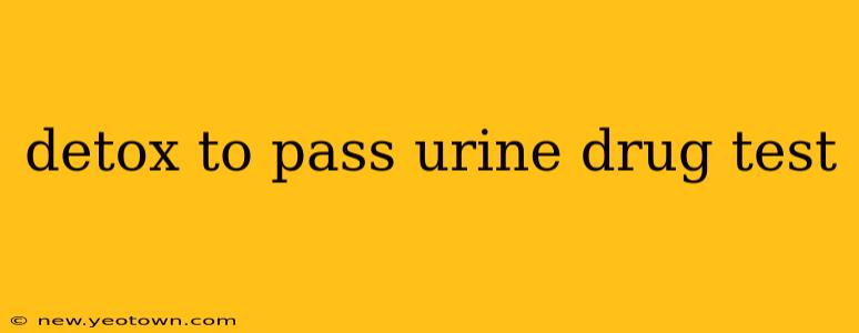 detox to pass urine drug test