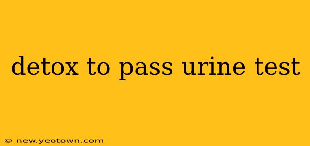 detox to pass urine test