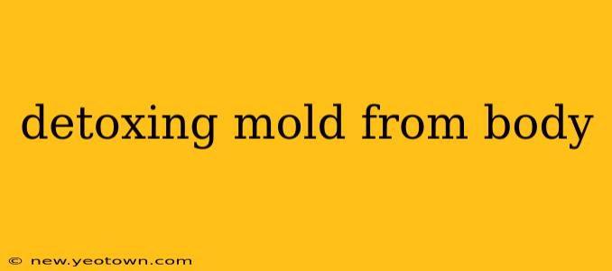 detoxing mold from body