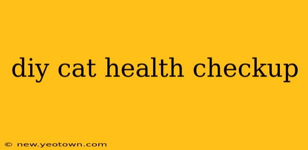diy cat health checkup
