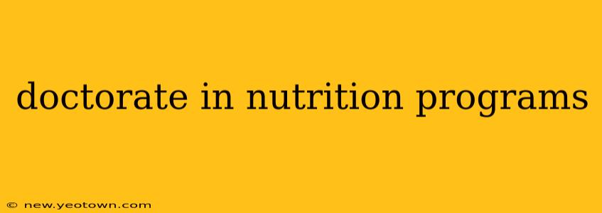 doctorate in nutrition programs