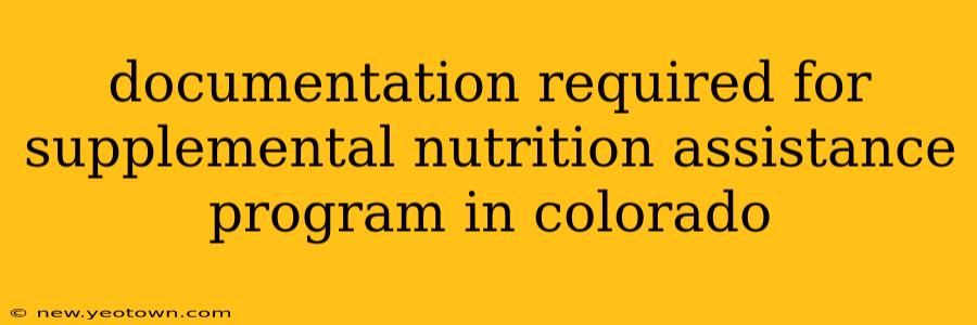 documentation required for supplemental nutrition assistance program in colorado