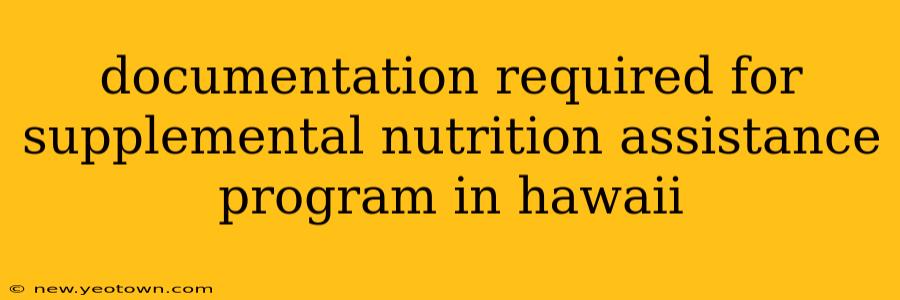 documentation required for supplemental nutrition assistance program in hawaii