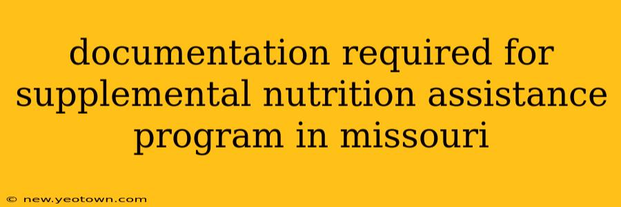 documentation required for supplemental nutrition assistance program in missouri