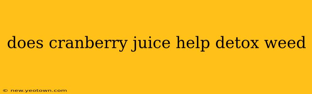 does cranberry juice help detox weed