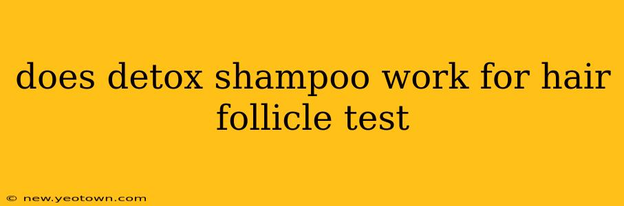 does detox shampoo work for hair follicle test