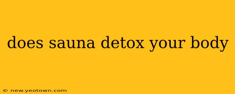 does sauna detox your body